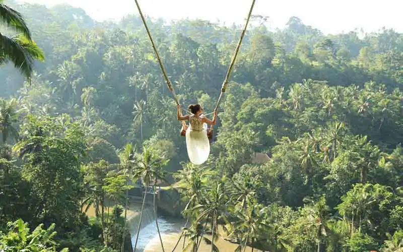 swing kintamani tour swing kintamani tour